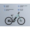 E MOTORAD X2 (SEA GREEN)