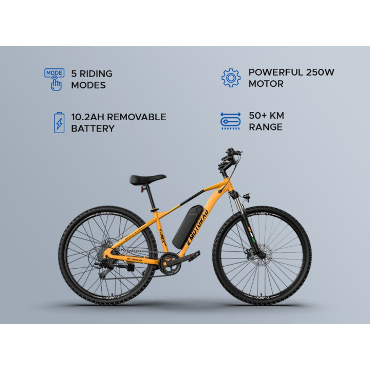 EMotorad T-Rex Air Cycle | Lightweight MTB Performance Bicycle