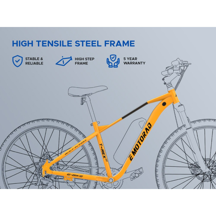 EMotorad T-Rex Air Cycle | Lightweight MTB Performance Bicycle