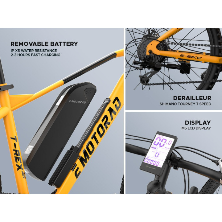 EMotorad T-Rex Air Cycle | Lightweight MTB Performance Bicycle