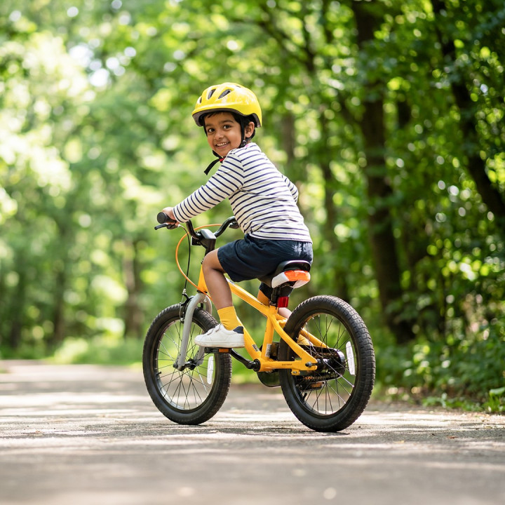 RoyalBaby EZ Freestyle Kids Bicycle | Sporty, Safe & Premium Cycle