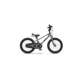 RoyalBaby EZ Freestyle Kids Bicycle | Sporty, Safe & Premium Cycle