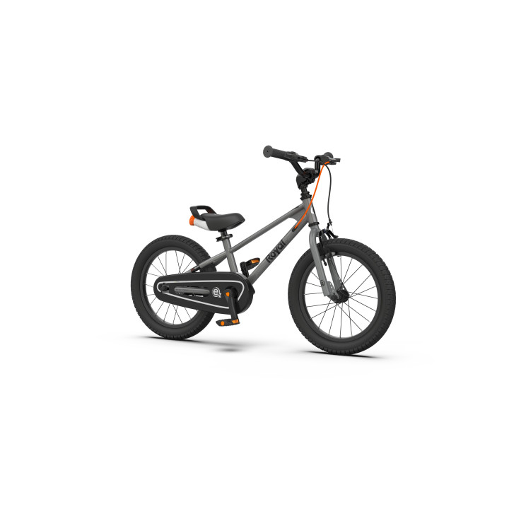 RoyalBaby EZ Freestyle Kids Bicycle | Sporty, Safe & Premium Cycle