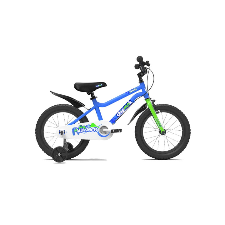 RoyalBaby Summer Kids Bicycle | Lightweight, Safe & Fun Cycle