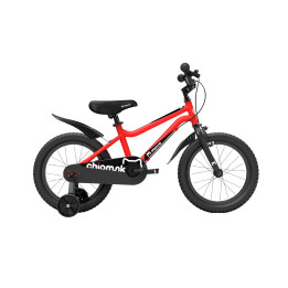RoyalBaby Summer Kids Bicycle | Lightweight, Safe & Fun Cycle