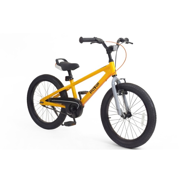 RoyalBaby EZ Freestyle Kids Bicycle | Sporty, Safe & Premium Cycle