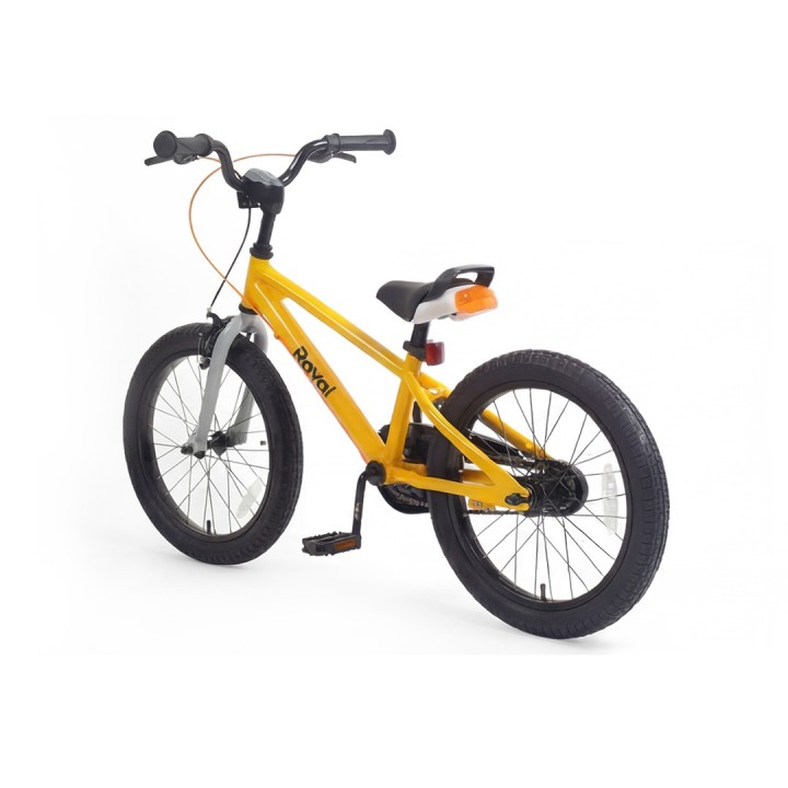 RoyalBaby EZ Freestyle Kids Bicycle | Sporty, Safe & Premium Cycle