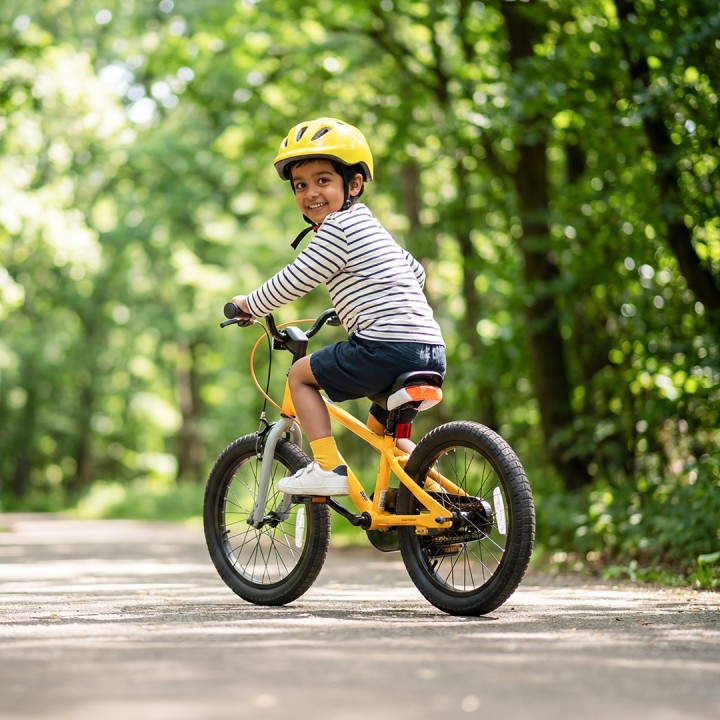RoyalBaby EZ Freestyle Kids Bicycle | Sporty, Safe & Premium Cycle