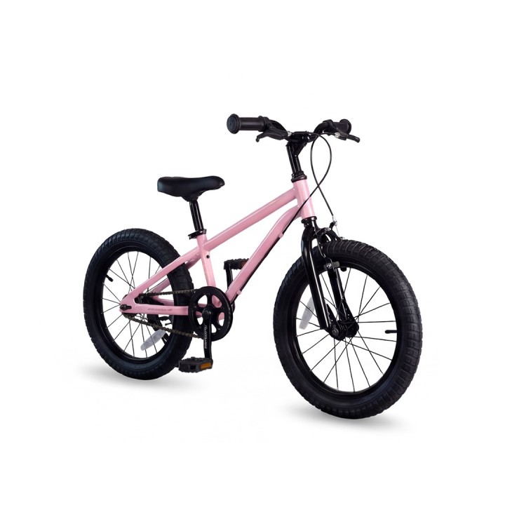 RoyalBaby X5 Kids Bicycle | Sporty, Safe & Premium Cycle