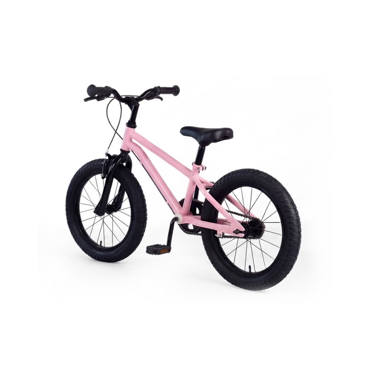 RoyalBaby X5 Kids Bicycle | Sporty, Safe & Premium Cycle