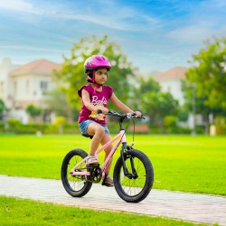 ROYALBABY X5 18" (PINK)