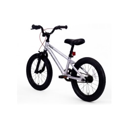 ROYALBABY X5 (SILVER)