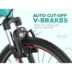 E MOTORAD DOPE 24" (SEA GREEN)