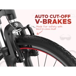 E MOTORAD DOPE 24" (RACER RED)