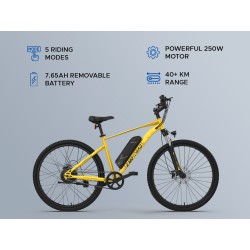 E MOTORADO LEGEND 07 MSD EDITION (MAHI'S YELLOW)