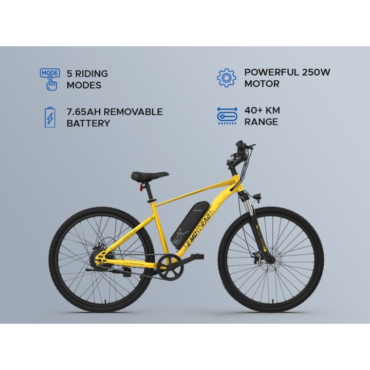 E Motorad Legend 07 MSD Edition Cycle | Premium Sport Bicycle