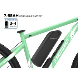 E MOTORAD X1 27.5" (MINT GREEN BLAZE)