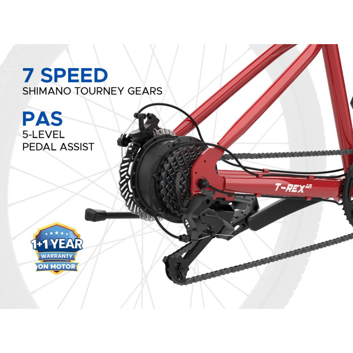 EMotorad T-Rex Air Cycle | Lightweight MTB Performance Bicycle