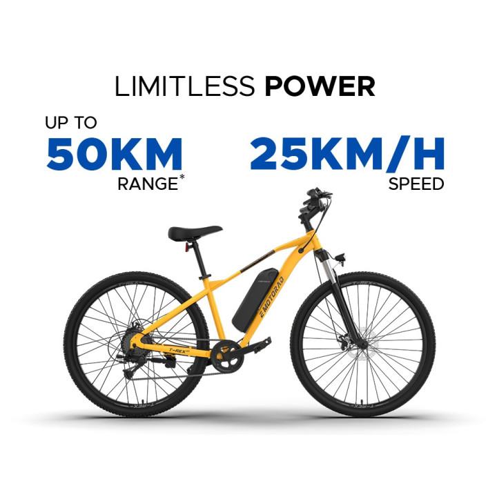 EMotorad T-Rex Air Cycle | Lightweight MTB Performance Bicycle