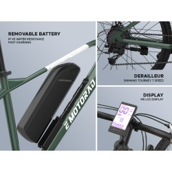 E MOTORAD T-REX AIR 29" (FOREST FURY)