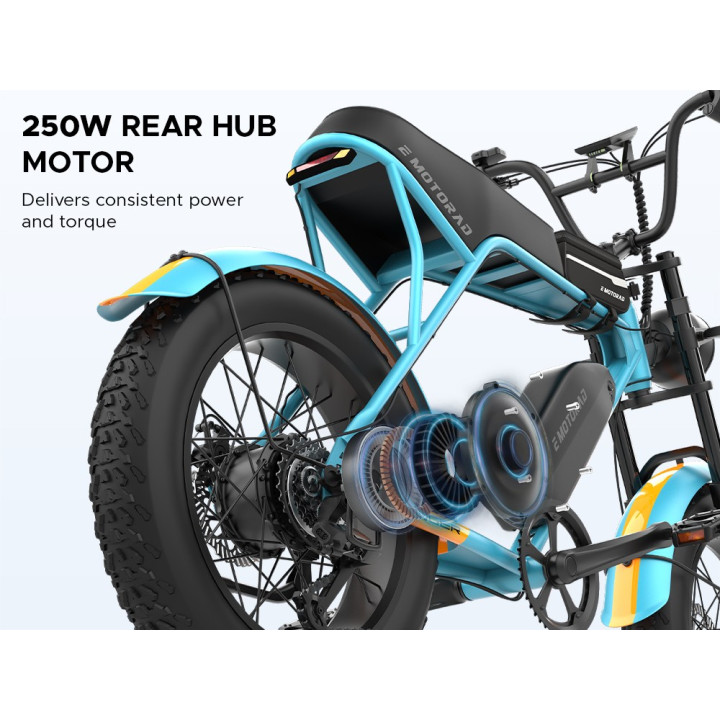 EMotorad Ranger E-Bike Cycle | Powerful Electric MTB Performance