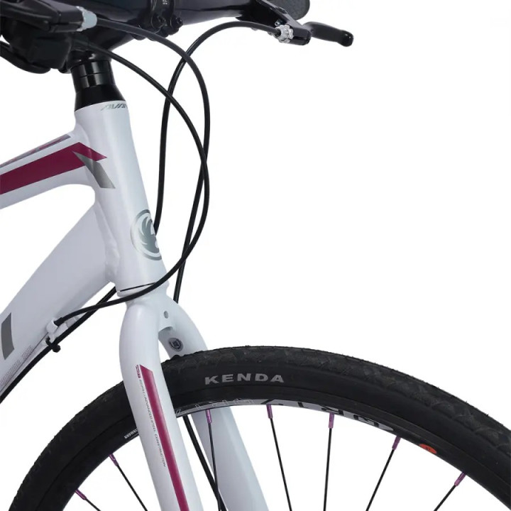 Avanti Giro FM 1 Women Road Bike | Lightweight Endurance Cycle