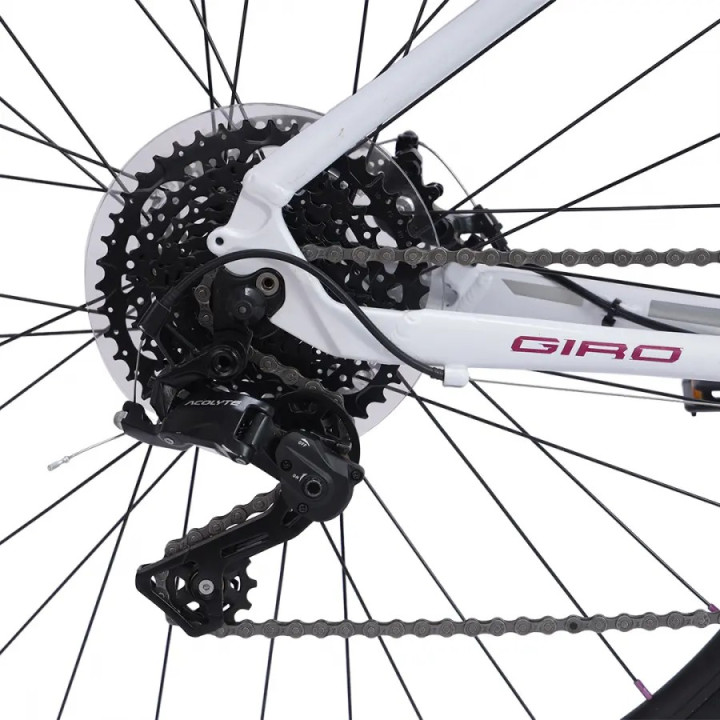 Avanti Giro FM 1 Women Road Bike | Lightweight Endurance Cycle