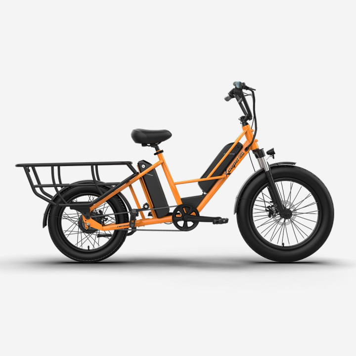 EMotorad G1 Cargo E-Cycle | Electric Cargo Bike for Heavy Loads