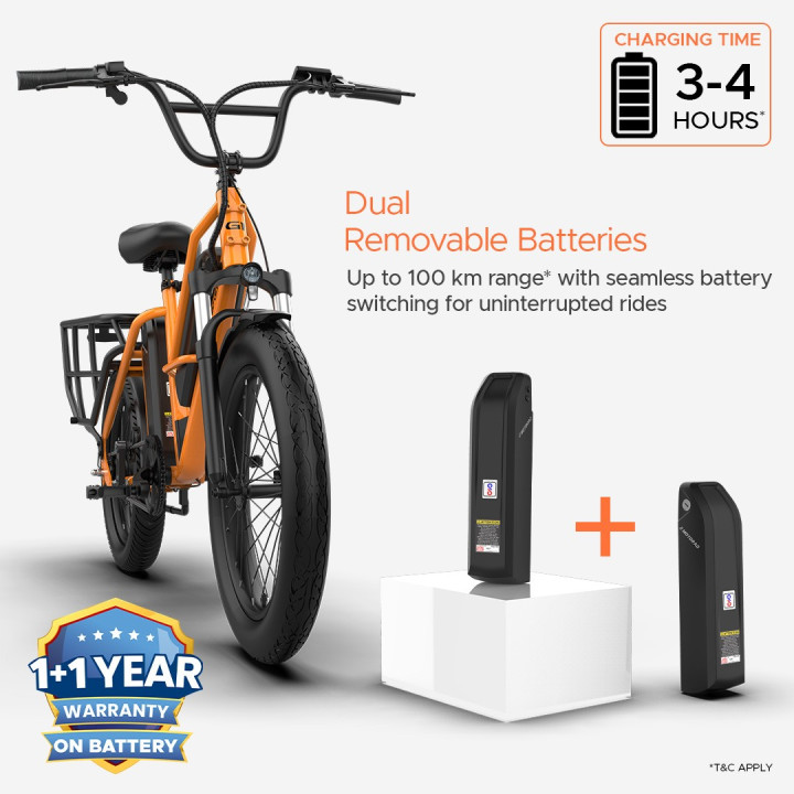 EMotorad G1 Cargo E-Cycle | Electric Cargo Bike for Heavy Loads