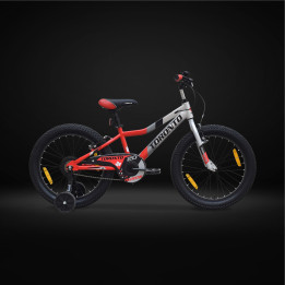 Toronto Huron 20 Inch Kids Cycle | Strong, Safe & Fun Bicycle