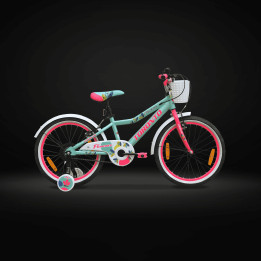 Toronto Florence 20 Inch Kids Cycle | Stylish & Safe Bicycle