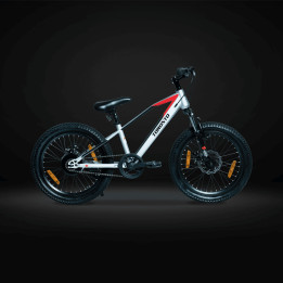 Toronto Skywalk 20 Inch Kids Cycle | Safe, Sporty & Fun Bicycle