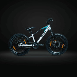 Toronto Skywalk 20 Inch Kids Cycle | Safe, Sporty & Fun Bicycle