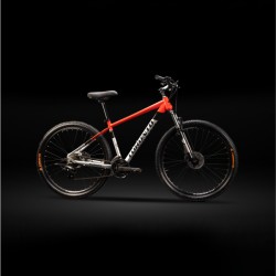 TORONTO NIAGARA 29"...