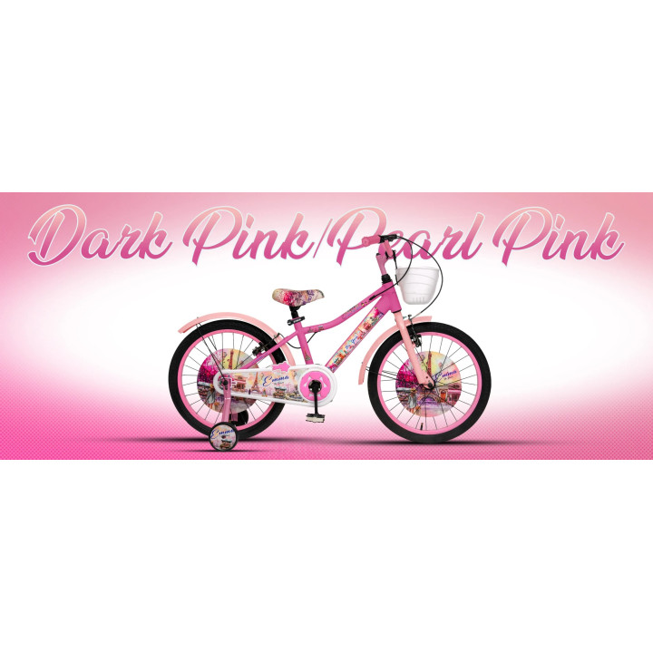 Oye Kid Emma 20 Inch Cycle | Stylish Kids Bicycle for Girls