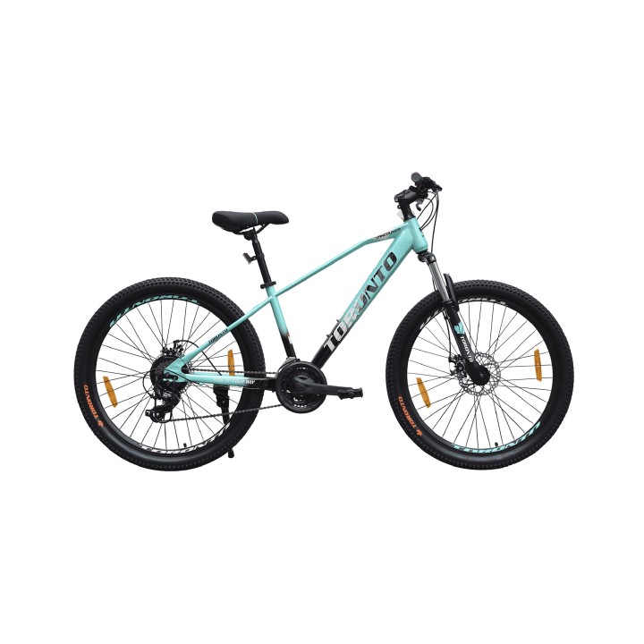 Toronto Vancouver 29 Multi Speed Cycle | 29er MTB Bicycle Online