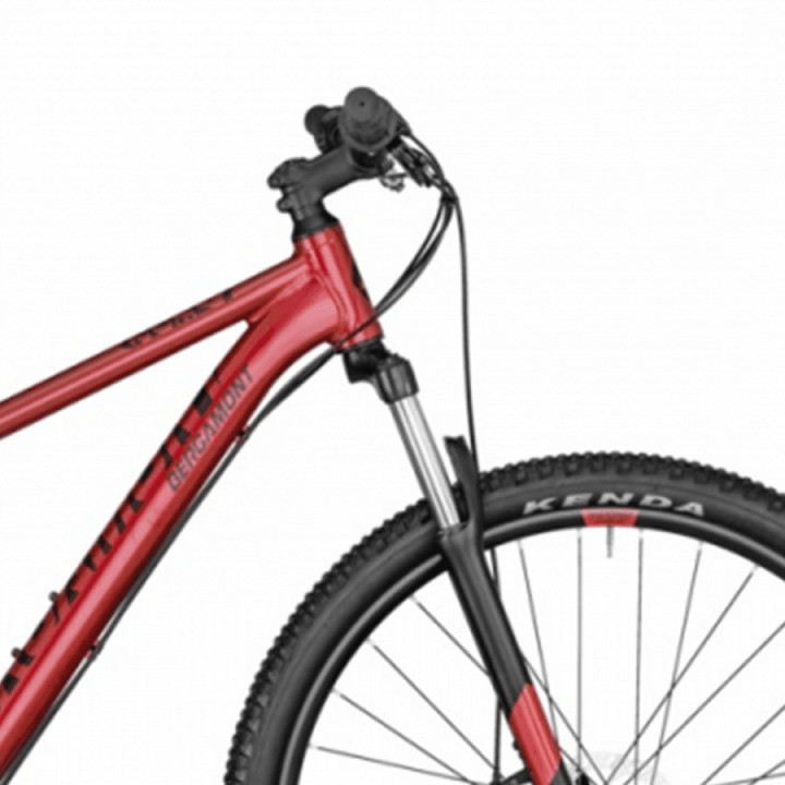 Bergamont Revox 2 Red Mountain Bike | Hardtail MTB Online