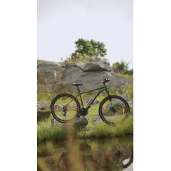 MONTRA MADROCK 29" (Green & Caramel Gold)