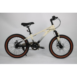 20 inch kids cycle,  20 inch bicycle for kids,  best 20 inch kids bike,  20 inch kids cycle online,  lightweight 20 inch kids bi