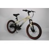 CZ PLUS SIZE 20" FOR - 7 TO 10 YEARS