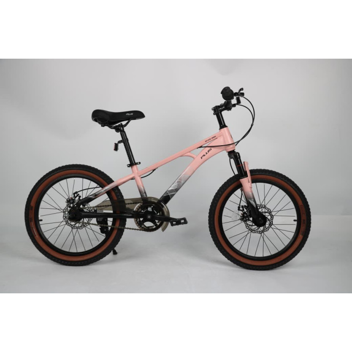 20 inch kids cycle,  20 inch bicycle for kids,  best 20 inch kids bike,  20 inch kids cycle online,  lightweight 20 inch kids bi