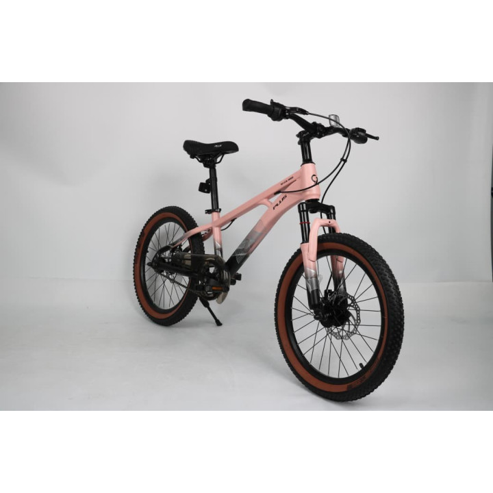 20 inch kids cycle,  20 inch bicycle for kids,  best 20 inch kids bike,  20 inch kids cycle online,  lightweight 20 inch kids bi