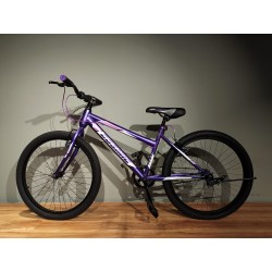 FERN (PURPLE) 24" S.SPEED