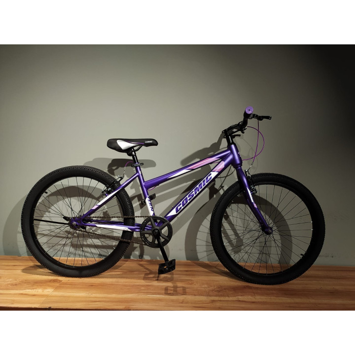 FERN (PURPLE) 24" S.SPEED
