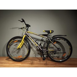 GRANITE (SILVER/YELLOW) 26"...