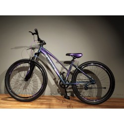 EMMY (GREY/PURPLE) 27.5"...