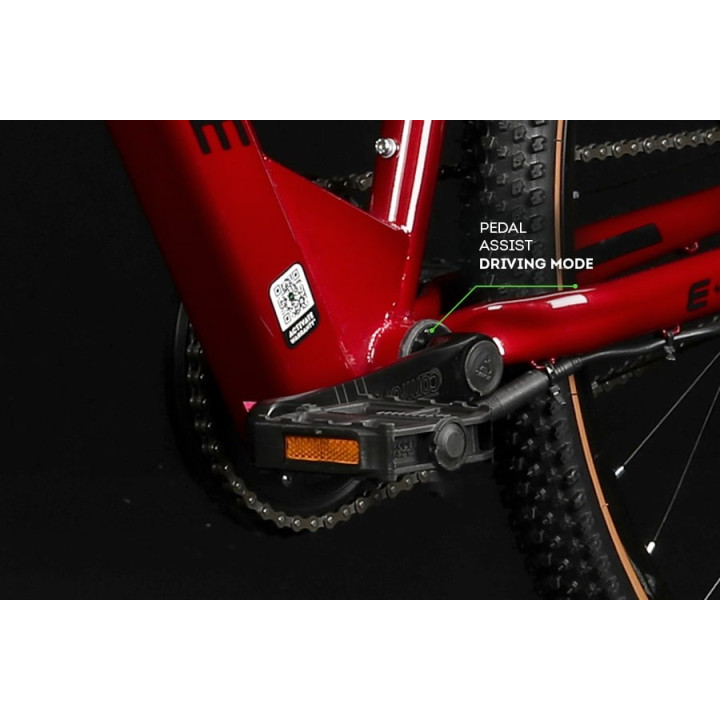 91 MERAKI 29" (RED) S.SPEED