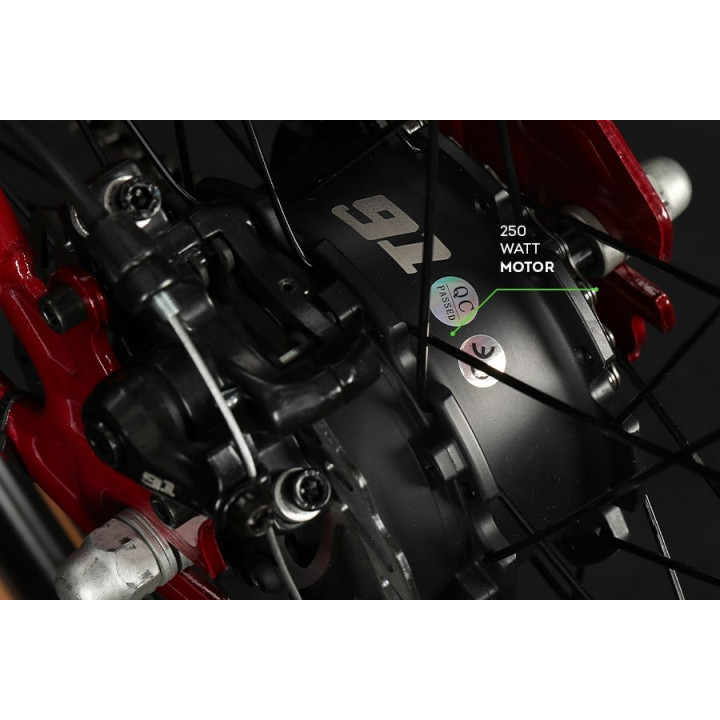 91 MERAKI 29" (RED) S.SPEED
