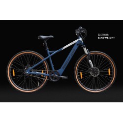 MERAKI (BLUE) 29" S.SPEED