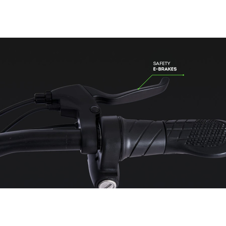 91 MERAKI E_BIKE  (BLUE) 29" S.SPEED